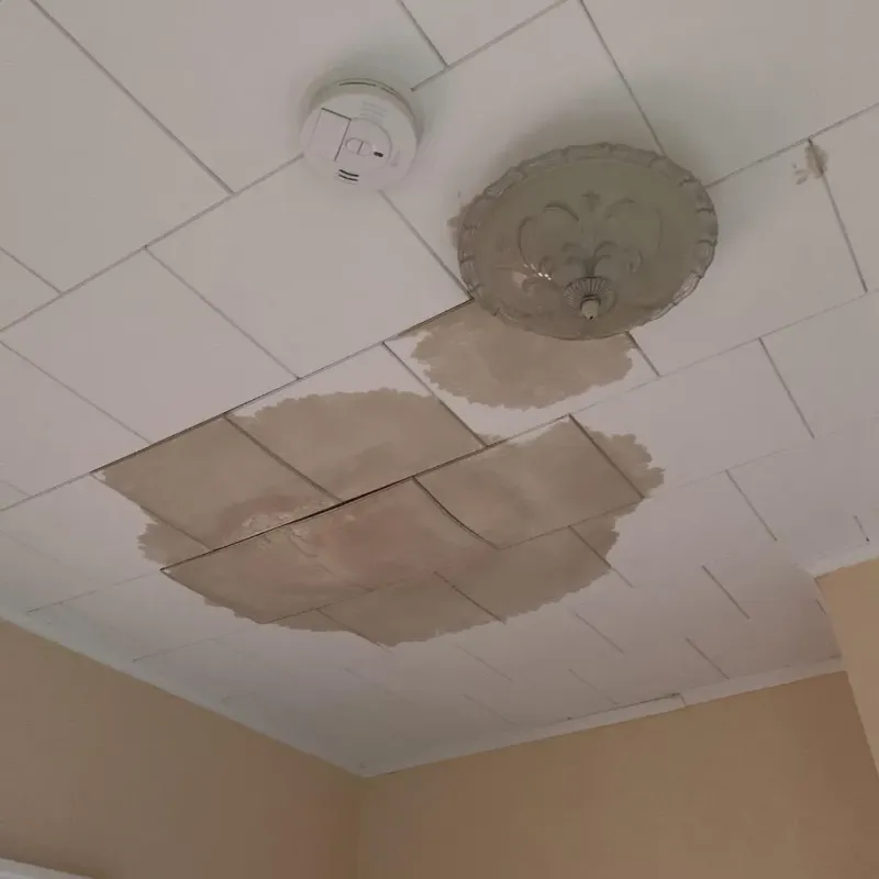 Ceiling Water Damage Repair in Conroe, TX