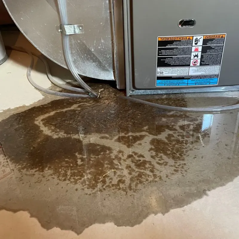 Pipe Burst and Leak Restoration in Conroe, TX