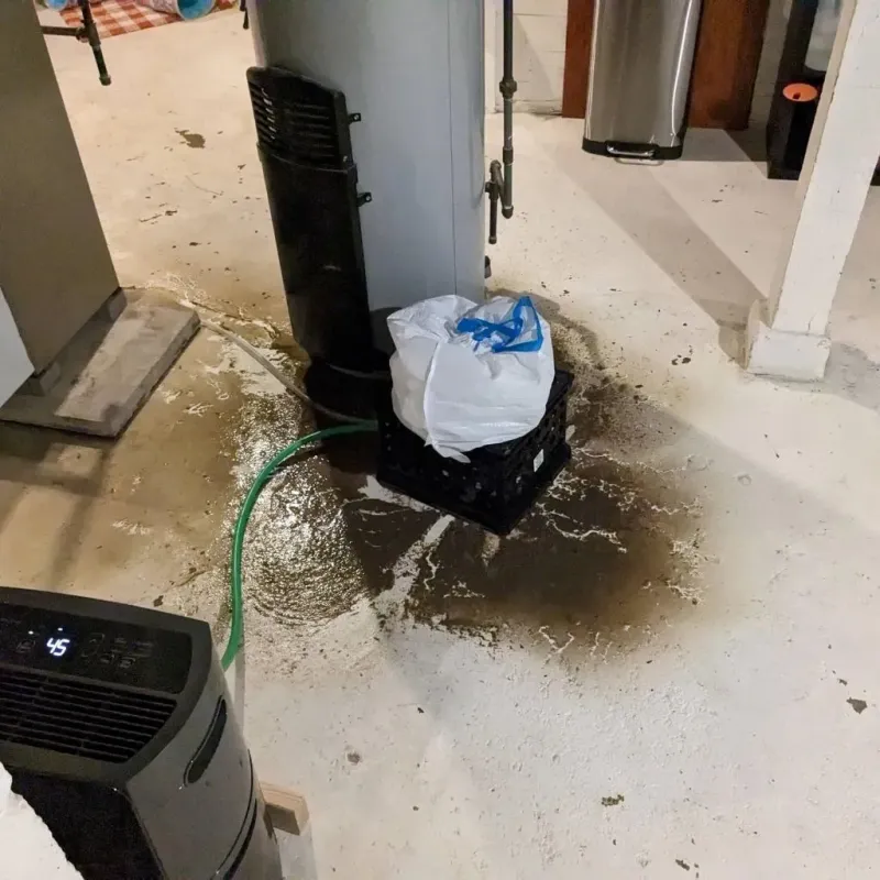 Sewage Backup Cleanup Service in Conroe, TX